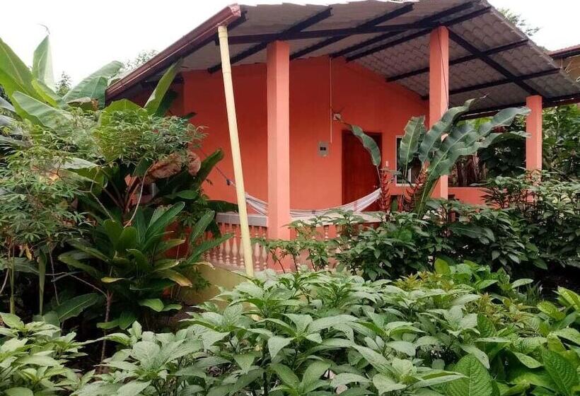 هاستل Hostal Tena ñaui