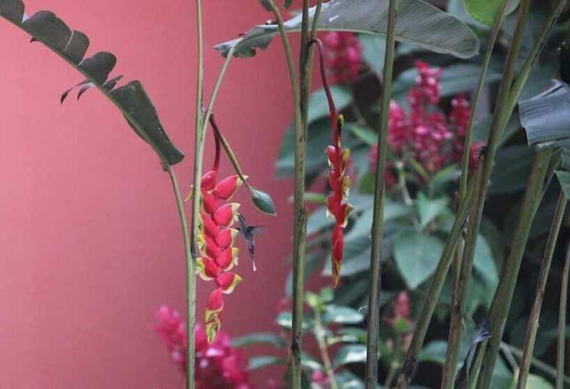 Общежитие Hostal Tena ñaui