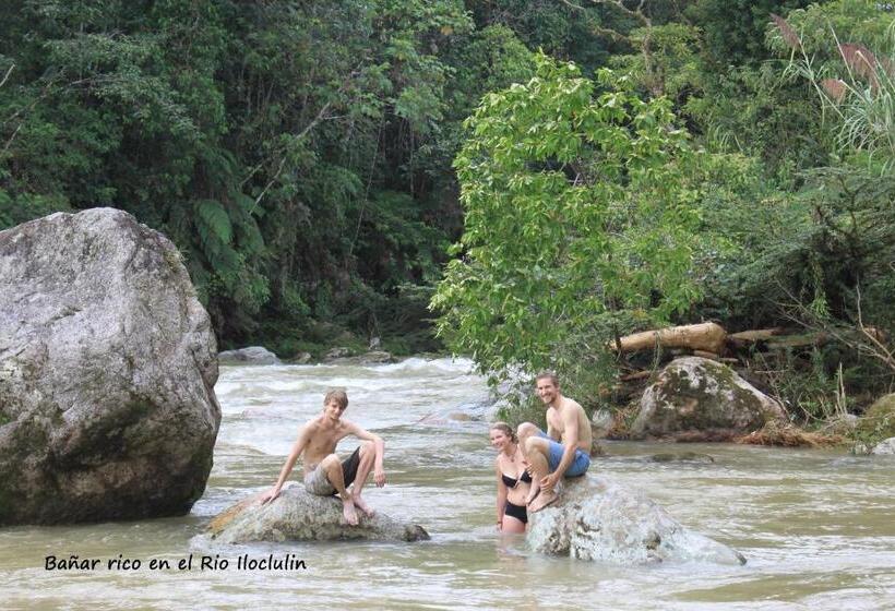 호스텔 Hostal Tena ñaui