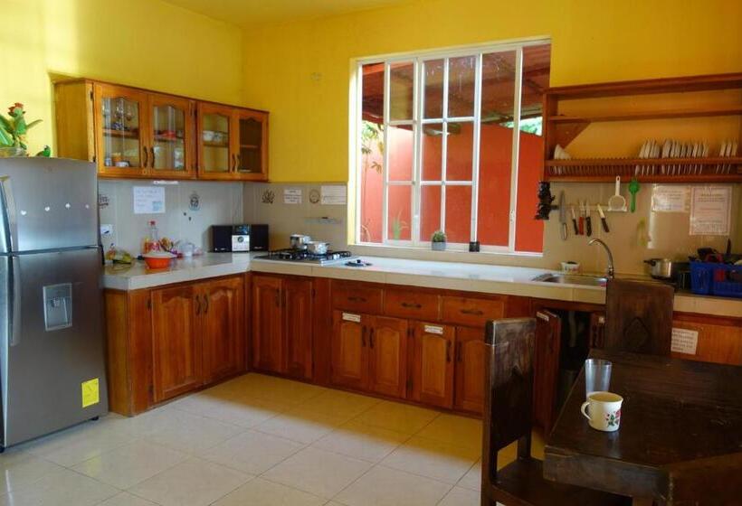 호스텔 Hostal Tena ñaui