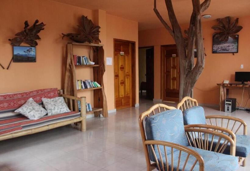 호스텔 Hostal Tena ñaui