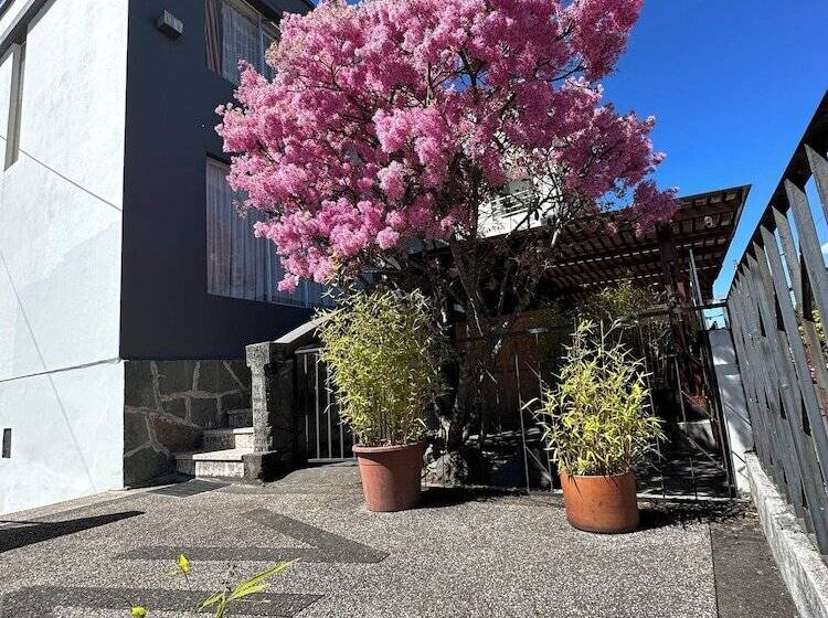 호스텔 St. Gallen Haus