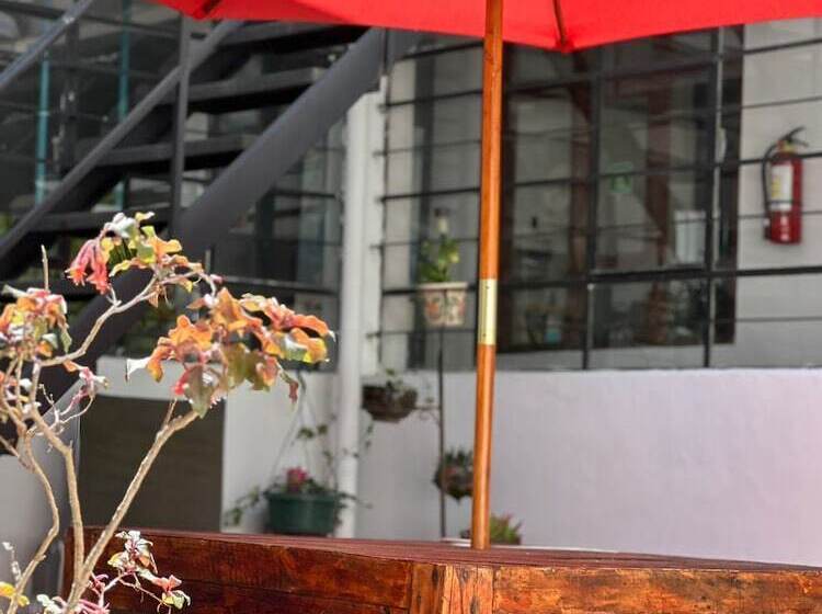 호스텔 St. Gallen Haus