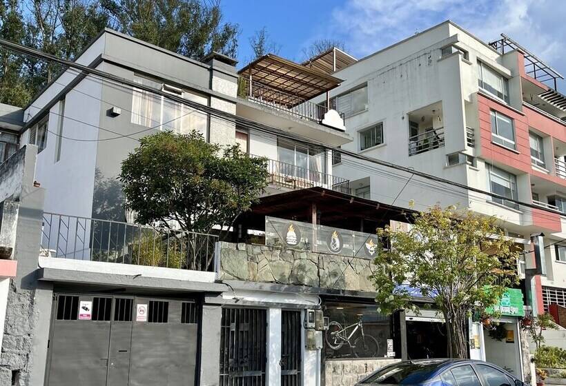 هاستل St. Gallen Haus