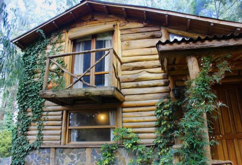 مبيت وإفطار Cabañas Las Moras