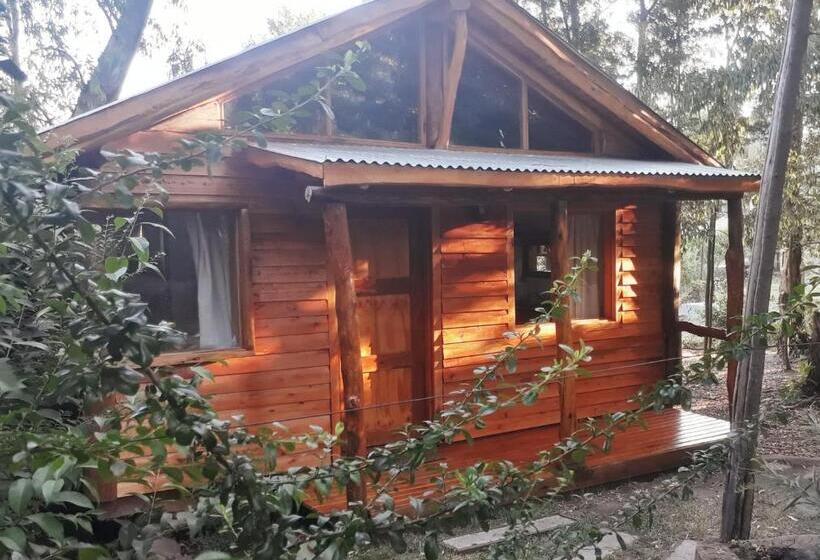 مبيت وإفطار Cabañas Las Moras