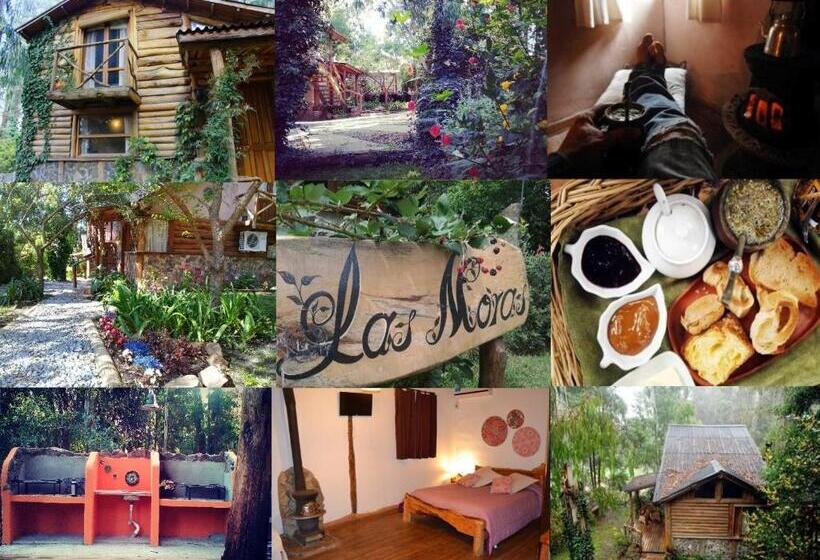 مبيت وإفطار Cabañas Las Moras