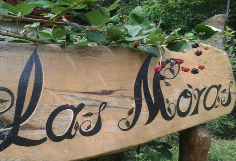 تختخواب و صبحانه Cabañas Las Moras