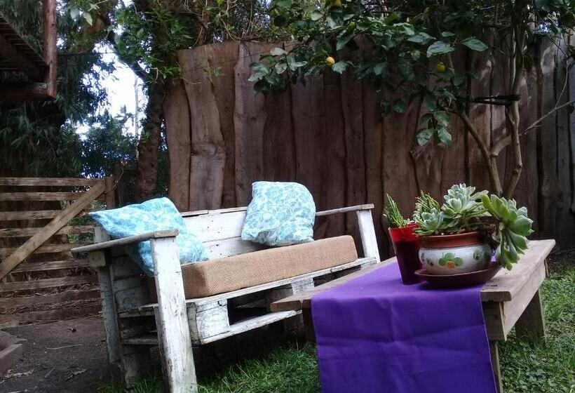 مبيت وإفطار Cabañas Las Moras