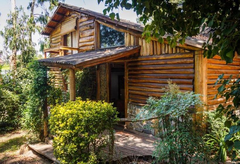 مبيت وإفطار Cabañas Las Moras