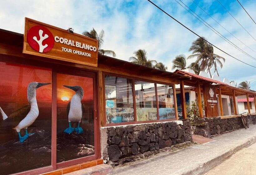 민박 Coral Blanco With High Speed Internet Starlink And Galapagos Tour Operator