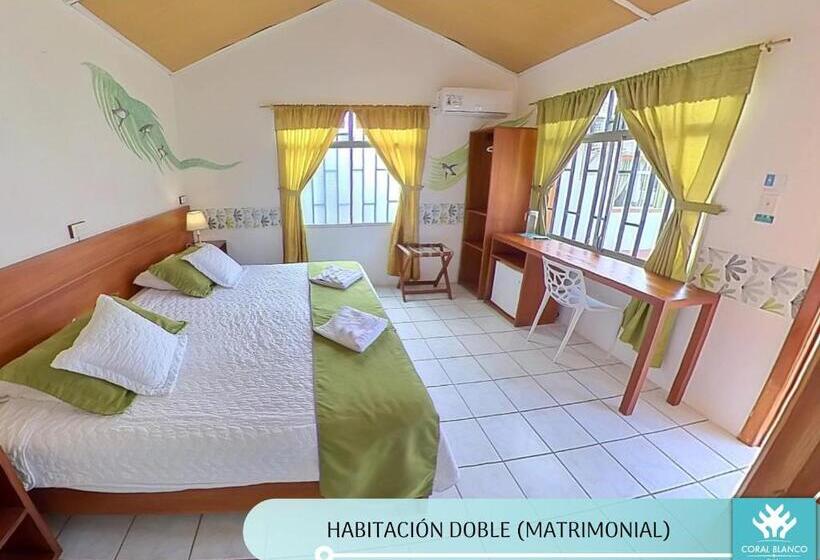 민박 Coral Blanco With High Speed Internet Starlink And Galapagos Tour Operator