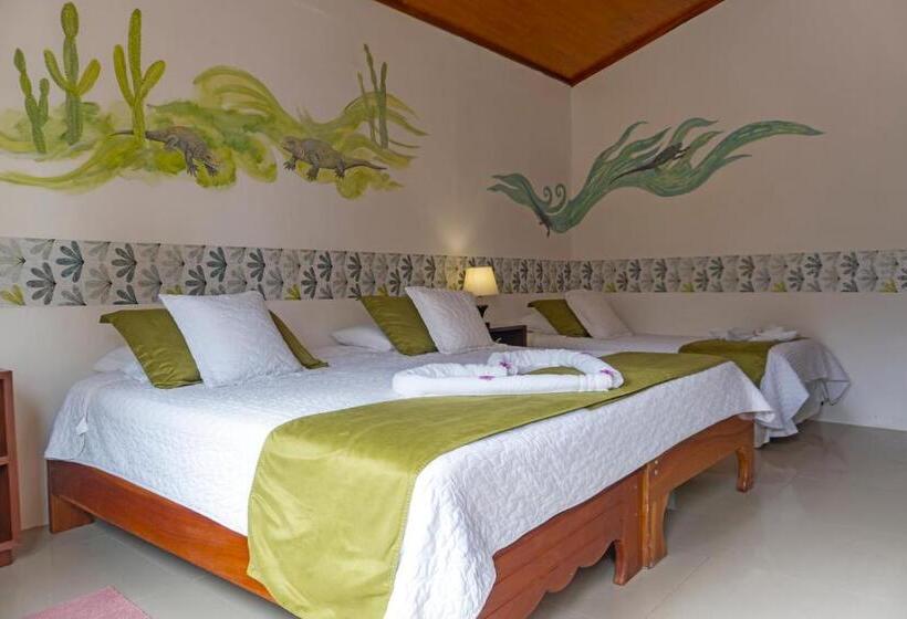 تختخواب و صبحانه Coral Blanco With High Speed Internet Starlink And Galapagos Tour Operator