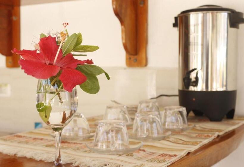 تختخواب و صبحانه Coral Blanco With High Speed Internet Starlink And Galapagos Tour Operator