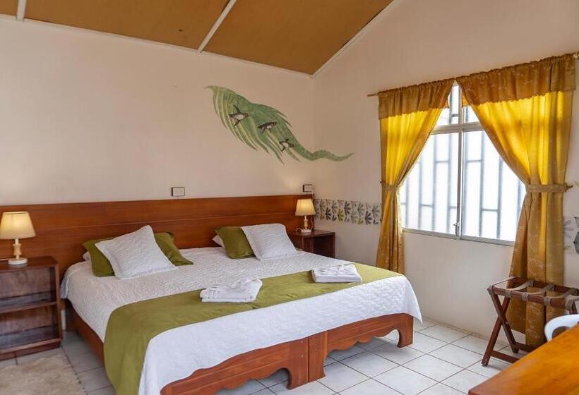 تختخواب و صبحانه Coral Blanco With High Speed Internet Starlink And Galapagos Tour Operator