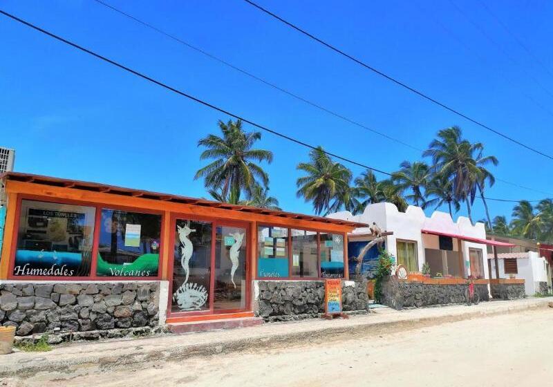 민박 Coral Blanco With High Speed Internet Starlink And Galapagos Tour Operator