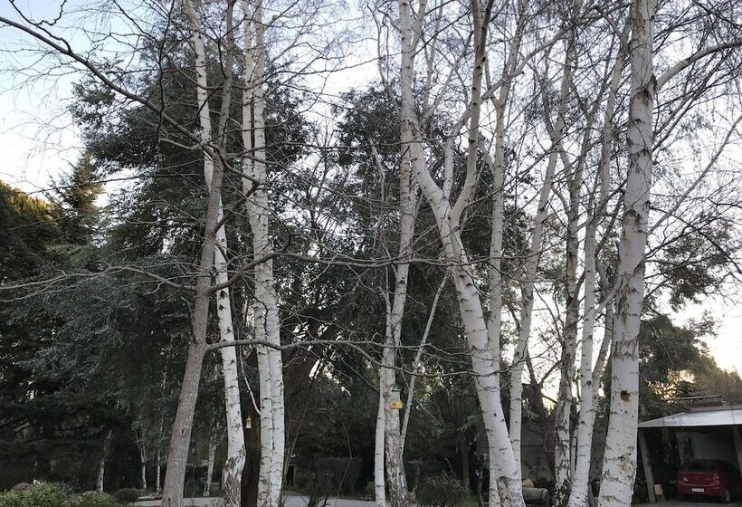 ベッドアンドブレックファースト El Colibrí Cabañas De La Naturaleza