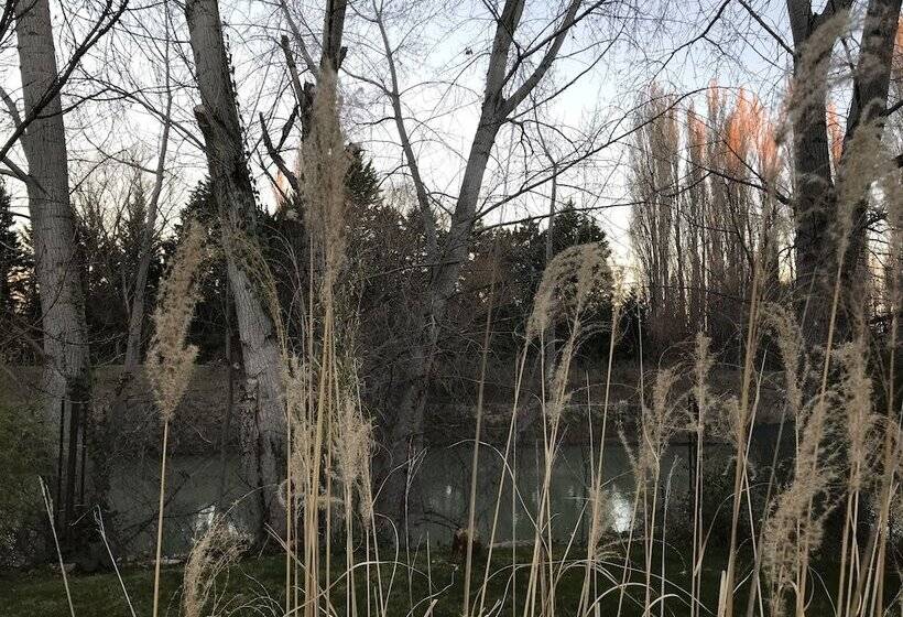 ベッドアンドブレックファースト El Colibrí Cabañas De La Naturaleza