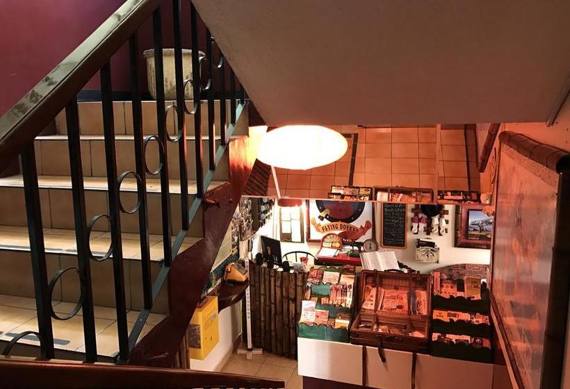 Bed and Breakfast Flying Donkey