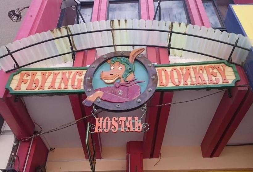 تختخواب و صبحانه Flying Donkey