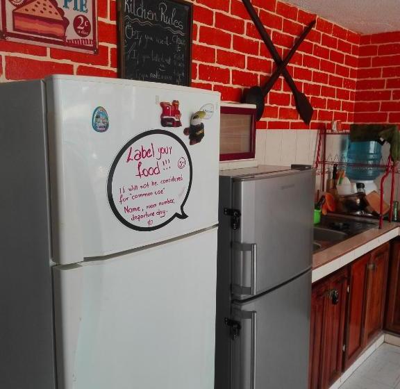 Bed and Breakfast Flying Donkey