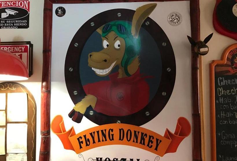 Bed and Breakfast Flying Donkey