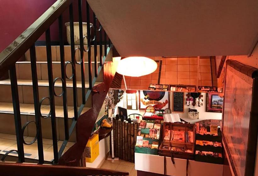 تختخواب و صبحانه Flying Donkey