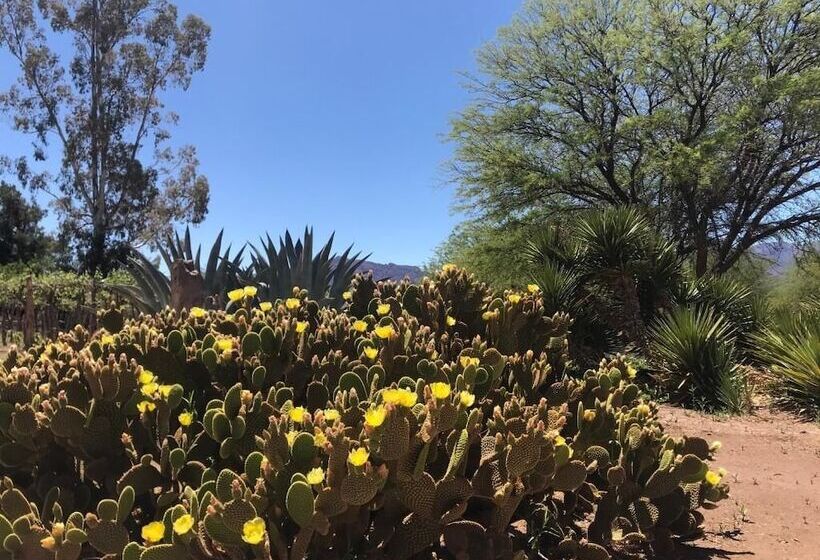 住宿加早餐  La Vaca Tranquila