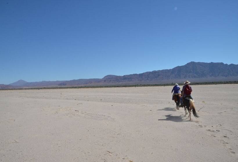 住宿加早餐  La Vaca Tranquila