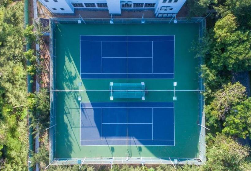 Carmelina Beach Resort Ho Tram