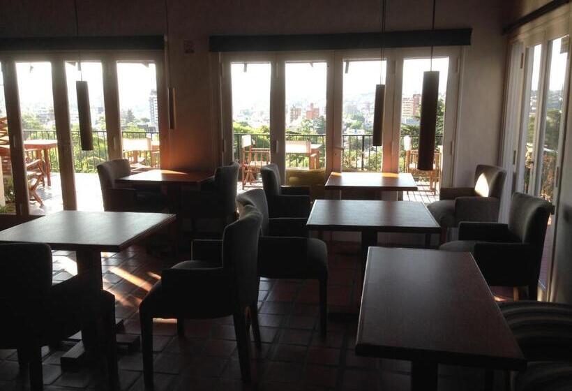 Casa Alta Hotel Boutique & Spa   Solo Adultos