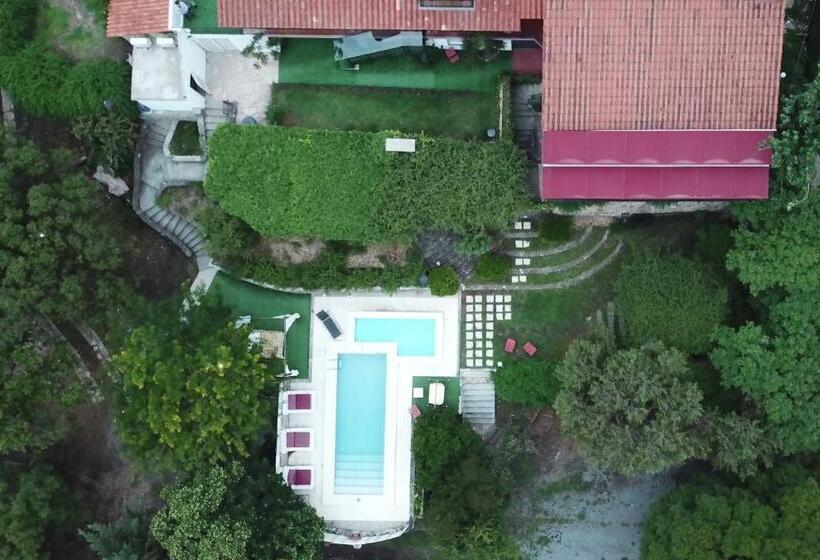 Casa Alta Hotel Boutique & Spa   Solo Adultos