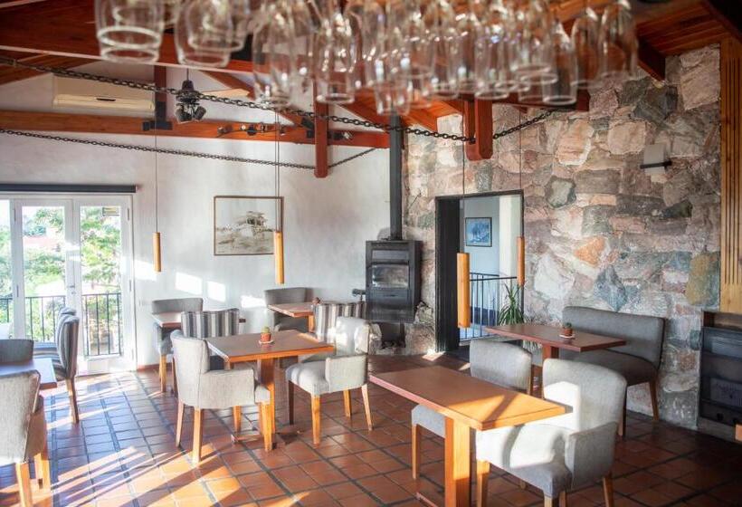 Casa Alta Hotel Boutique & Spa   Solo Adultos