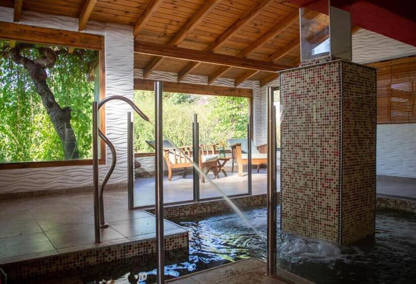 Casa Alta Hotel Boutique & Spa   Solo Adultos