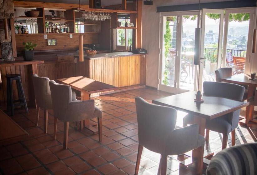 Casa Alta Hotel Boutique & Spa   Solo Adultos