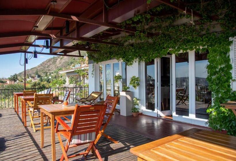 Casa Alta Hotel Boutique & Spa   Solo Adultos