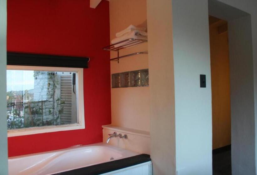 Casa Alta Hotel Boutique & Spa   Solo Adultos