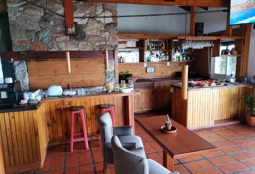 Casa Alta Hotel Boutique & Spa   Solo Adultos