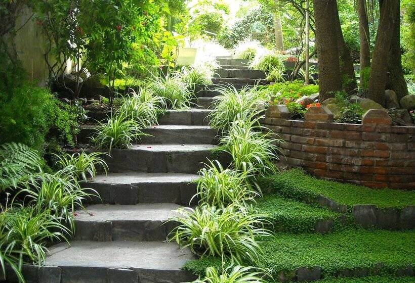 City Hotel Mar Del Plata