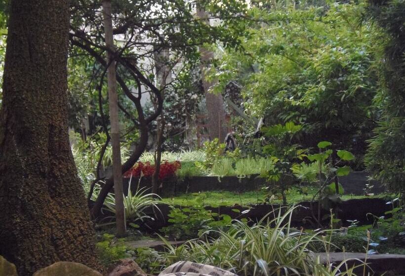 City Hotel Mar Del Plata