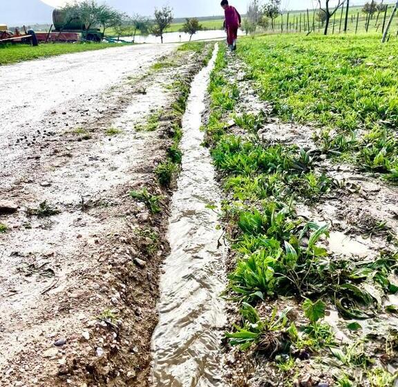 Eikelaan Farm Cottages