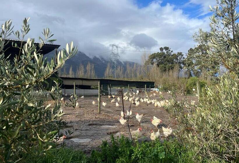 Eikelaan Farm Cottages