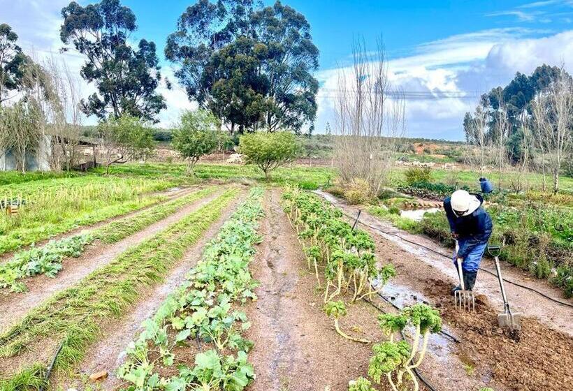 Eikelaan Farm Cottages