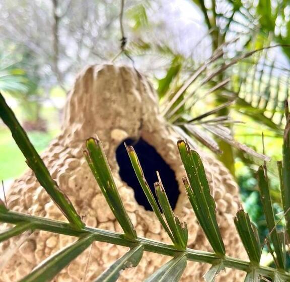 Eikelaan Farm Cottages