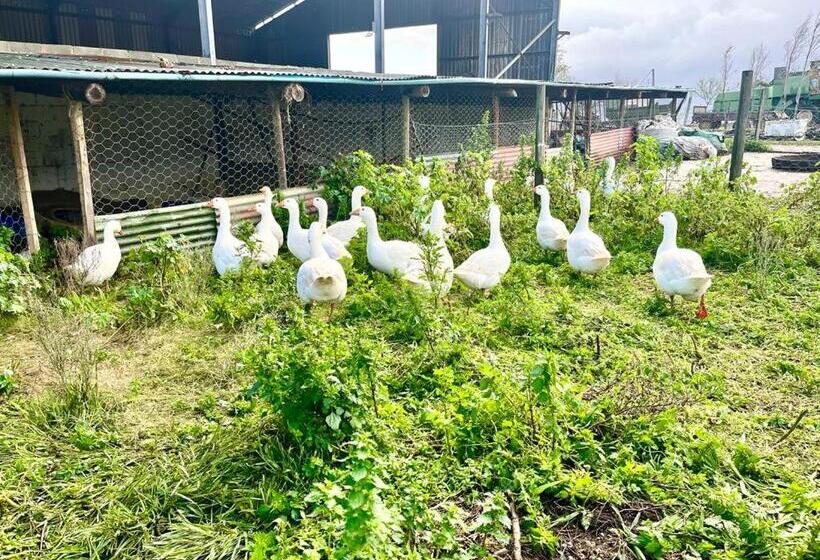 Eikelaan Farm Cottages