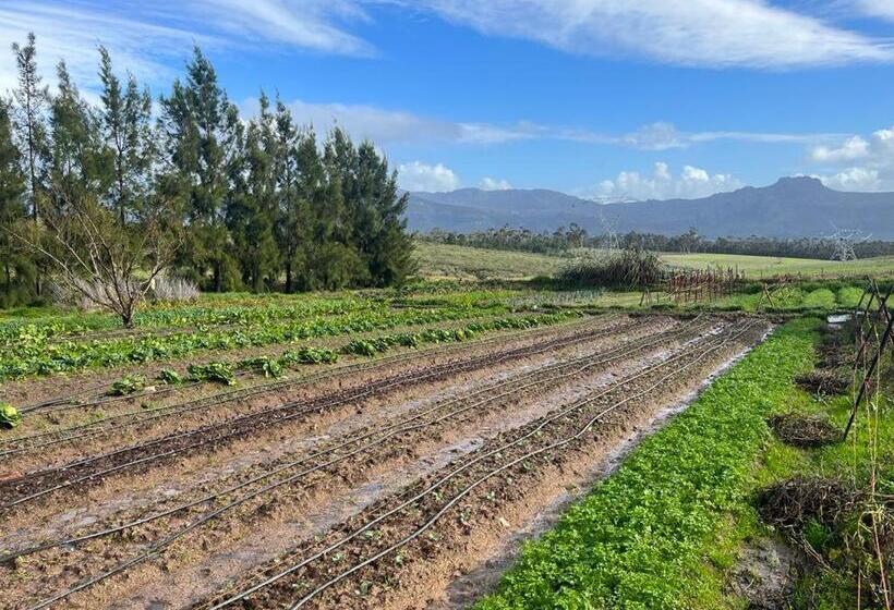 Eikelaan Farm Cottages