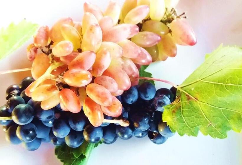 فندق Chaglasian Wine & Suites