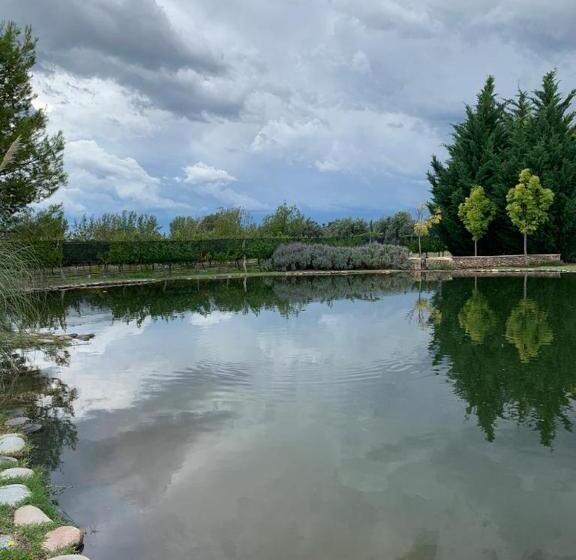 فندق Chaglasian Wine & Suites