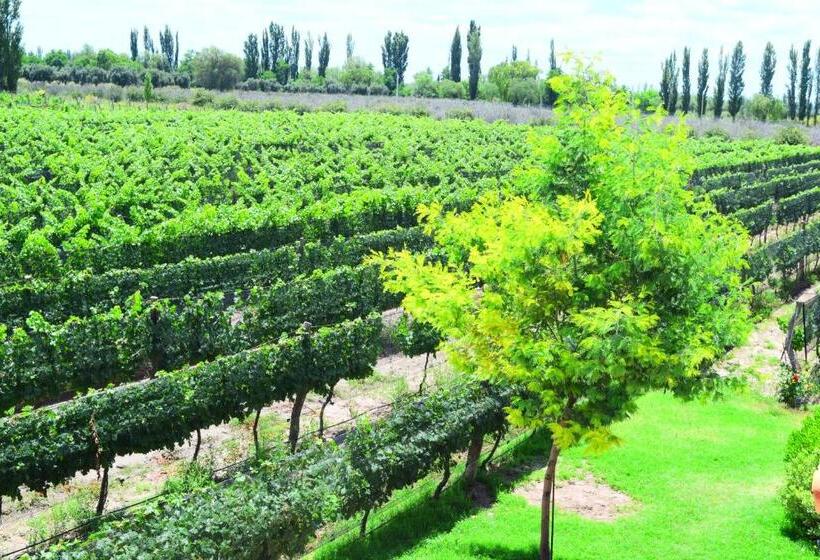 فندق Chaglasian Wine & Suites