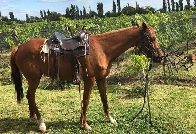 فندق Chaglasian Wine & Suites